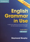 Raymond Murphy: English Grammar in Use 3rd edition