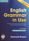 Raymond Murphy: English Grammar in Use 3rd edition with CD-Rom