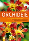 Frank Röllke: Orchideje - zahrada pro radost