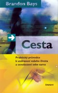 Brandon Bays: Cesta