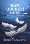 Gabriel Looser: Kam odchází duše - Průvodce po onom světě