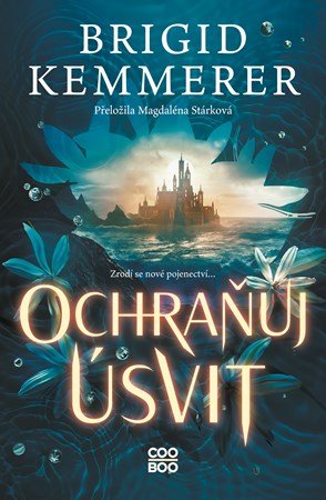 Brigid Kemmerer: Ochraňuj úsvit