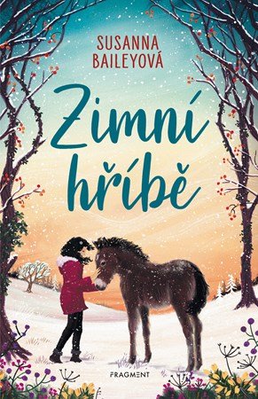 Susanna Baileyová: Zimní hříbě Susanna Baileyová: Zimní hříbě