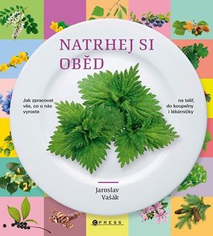 Jaroslav Vašák: Natrhej si oběd Jaroslav Vašák: Natrhej si oběd