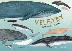 Kelsey Oseid: Velryby
