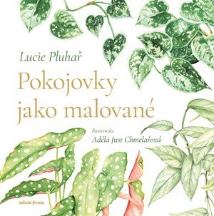 Lucie Pluhař: Pokojovky jako malované