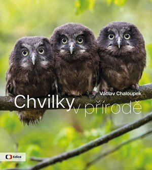 Václav Chaloupek: Chvilky v přírodě