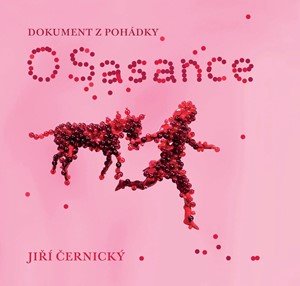 Jiří Černický: O Sasance - Dokument z pohádky Jiří Černický: O Sasance - Dokument z pohádky