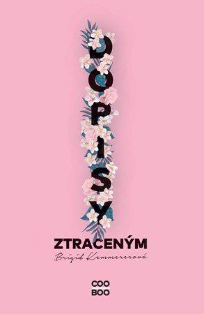 Brigid Kemmerer: Dopisy ztraceným