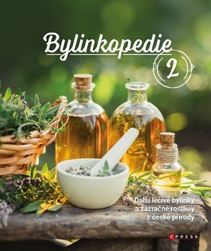 Martin Chvapil: Bylinkopedie 2