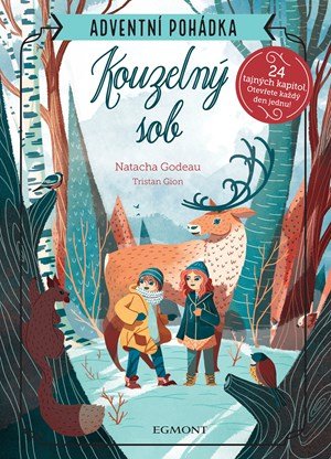 Kolektiv: Kouzelný sob - Adventní pohádka