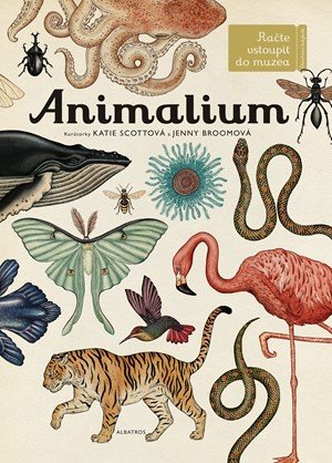 Jenny Broomová: Animalium