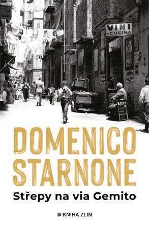 Domenico Starnone: Střepy na via Gemito