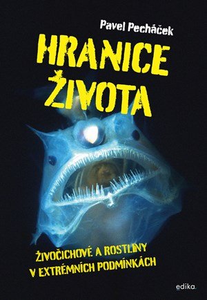 Pavel Pecháček: Hranice života Pavel Pecháček: Hranice života