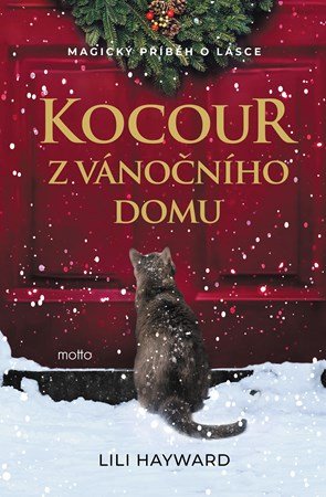 Lili Hayward: Kocour z vánočního domu