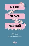 Brigid Kemmerer: Na co slova nestačí