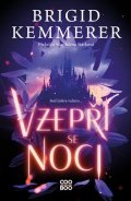 Brigid Kemmerer: Vzepři se noci