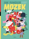 Helena Haraštová: Jak funguje mozek?