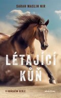 Sarah Maslin Nir: V koňském sedle: Létající kůň