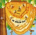 Petra Bartíková: Co se děje ve včelím úlu
