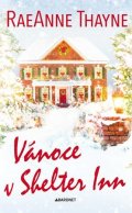 RaeAnne Thayne: Vánoce v Shelter Inn