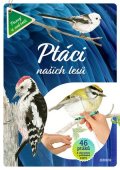 Kolektiv: Ptáci našich lesů