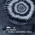 Jan Skácel, Jiří Opelík: Květy z nahořklého dřeva