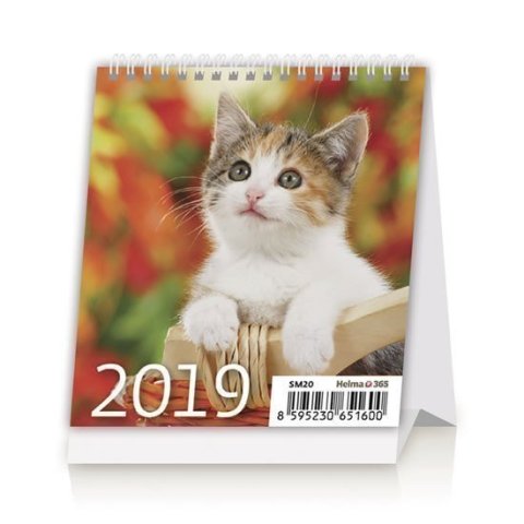 neuveden: Kalendář stolní 2019 - Mini Kittens
