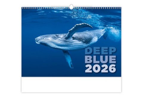 neuveden: Kalendář nástěnný 2026 - Deep Blue