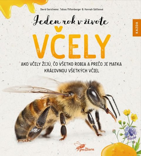 Gerstmeier David, Miltenberger Tobias, Götteová Hannah: Jeden rok v živote včely - Ako včely žijú, čo všetko robia a prečo je matka Gerstmeier David, Miltenberger Tobias, Götteová Hannah: Jeden rok v živote včely - Ako včely žijú, čo všetko robia a prečo je matka