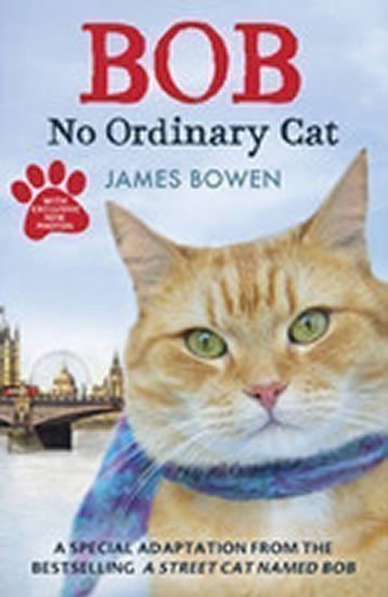Bowen James: Bob : No Ordinary Cat