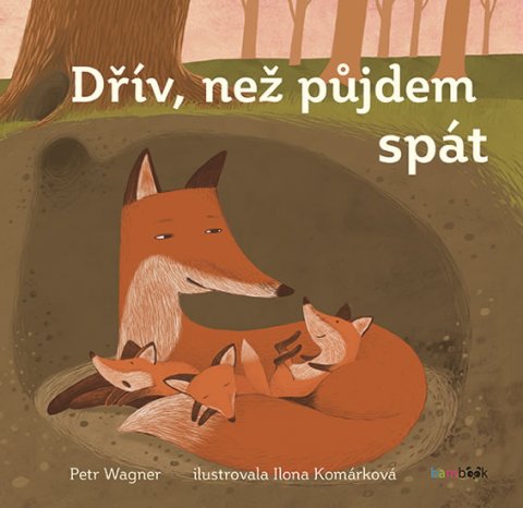 Wagner Petr: Dřív, než půjdem spát