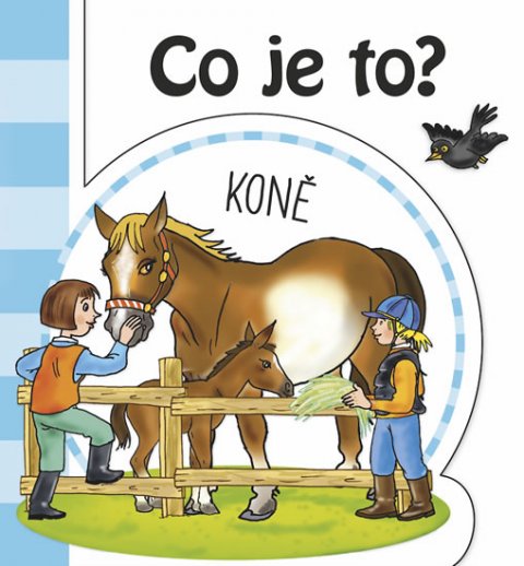 neuveden: Co je to? Koně neuveden: Co je to? Koně