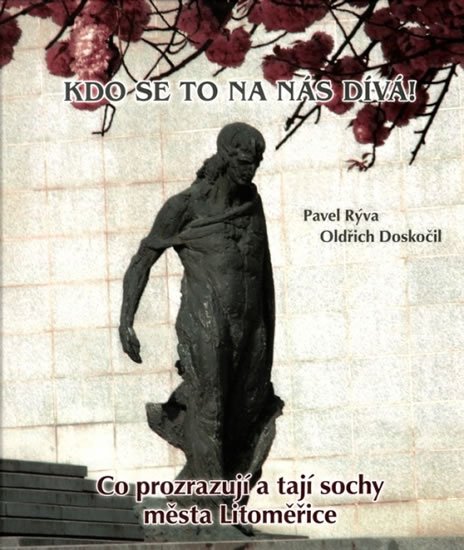 Doskočil Oldřich: Kdo se to na nás dívá! - Co prozrazují a tají sochy města Litoměřice