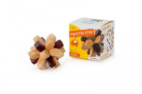 neuveden: Recenttoys Hlavolam: Brain Puzzle 2 - Temenní lalok