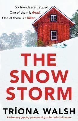 Walsh Tríona: Snowstorm