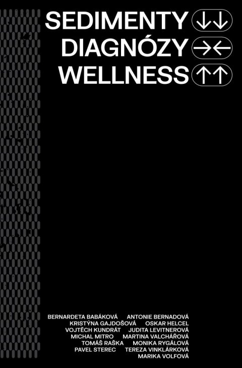 kolektiv autorů: Sedimenty diagnózy wellness