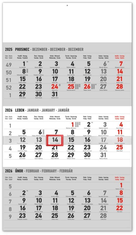 neuveden: Kalendář 2026 nástěnný: 3měsíční standard šedý - s českými jmény, 29,5 x 43