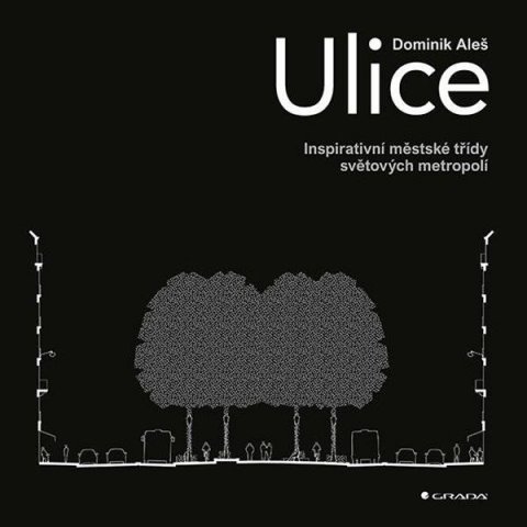 Aleš Dominik: Ulice