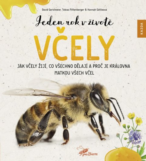 Gerstmeier David, Miltenberger Tobias, Götteová  Hannah: Jeden rok v životě včely - Jak včely žijí, co všechno dělají a proč je král