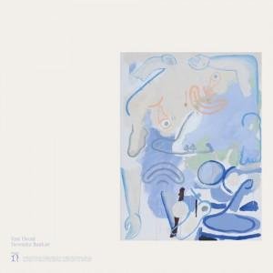 Devendra Banhart: Banhart Devendra: Vast Ovoid LP