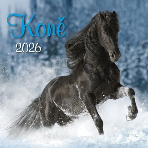 neuveden: Kalendář 2026 Koně, nástěnný, 33 x 33 cm