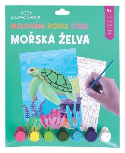 -: Malování podle čísel Mořská želva