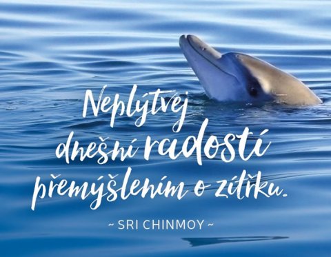 Chinmoy Sri: Magnet na lednici - Neplýtvej dnešní radostí přemýšlením o zítřku Chinmoy Sri: Magnet na lednici - Neplýtvej dnešní radostí přemýšlením o zítřku