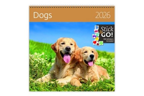 neuveden: Kalendář nástěnný plánovací 2026 - Dogs
