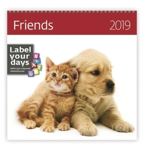 neuveden: Kalendář nástěnný 2019 - Friends