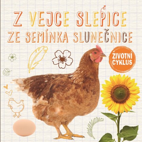 Jones Grace: Z vejce slepice, ze semínka slunečnice - Životní cyklus