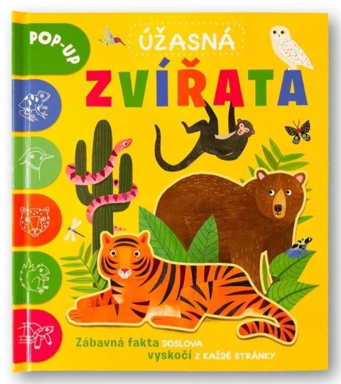 Ard Catherine: Úžasná zvířata POP-UP