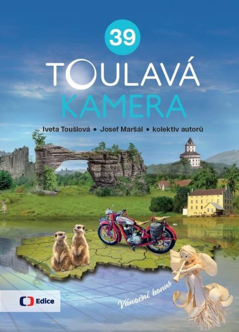 kolektiv autorů: Toulavá kamera 39