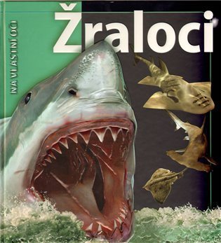 neuveden: Žraloci - Na vlastní oči